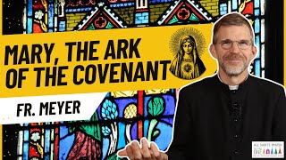 Mary, the Ark of the Covenant: What It Means for Us | Sunday Homily | Fr. Meyer 11.22.24