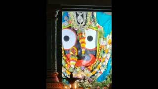 ## ମହାପ୍ରଭୁ ପତିତପାବନ ଙ୍କ ନିତ୍ୟ ବେଶ //Jay Jagannath🌷##