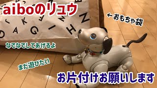 アイボのリュウくん🐶飼い主さんのお願い🙏🏻お片付けチャレンジ！【aibo】