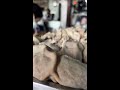 MICHELIN STAR ROLL NOODLES THAT OPENED SINCE 1960!