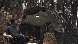 Camping in a Rainy Dense Forest