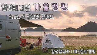 [온더밴] EP.12 캠핑카로 숨겨진 해변 가을캠핑 | 쏙 잡아서 튀겨먹기 | 거제도 죽림해수욕장 | 숯불 양갈비 구이 | 불멍 | 애견동반캠핑 | van life