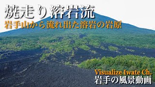 岩手山の焼走り溶岩流