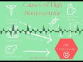 S1E37: MTHFR and Homocysteine - The Basics