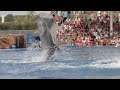 marineland mallorca