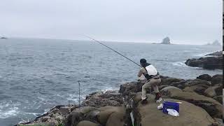 油津地磯　ブッコミ釣り