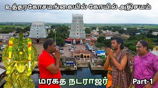 உலகத்தில் விலை மதிக்க முடியாத மரகதம் கோவிலின் உள்ளே | WFT Vlog