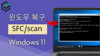 2024 SFC /scannow 명령을 사용하여 Windows 11에서 손상된 시스템 파일을 복구하는 방법 | PassFab FixUWin