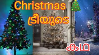 Christmas tree 🎄 story#christmas #christmastrees /#trees/ക്രിസ്തുമസ് ട്രീയുടെ കഥ/CT MACHAN STORIES