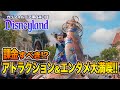 【4日目】遂にカリフォルニア ディズニーランドへ!! Vol.2