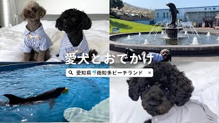 犬とおでかけおすすめスポット【愛犬と旅行part.2】【愛知県】