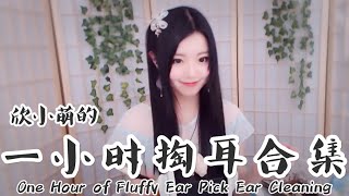 ASMR欣小萌 一个小时纯掏耳合集 丨ASMR 1 HOUR of Fluffy Ear Pick Ear Cleaning