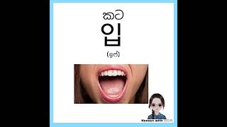 Body Parts #koreanlanguage #fypシ #bodyparts #bodypartsinkorean #sinhala #shortvideo #viral