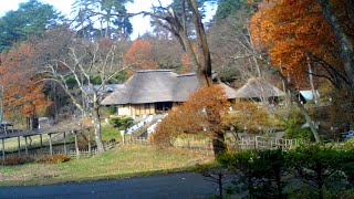 みちのく民俗村ライブ 2023.11.23 10:54