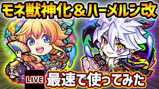 【🔴モンストライブ】魔改造！友情火力はいかに！？モネ獣神化＆ハーメルン獣神化改を最速で使ってみた【けーどら】