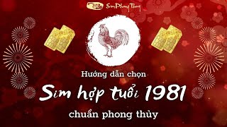 Bí quyết chọn sim số hợp tuổi Tân Dậu 1981 chuẩn phong thủy