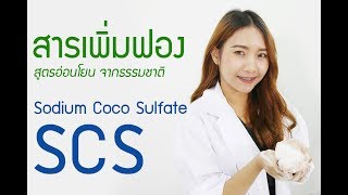 [CHEMIPAN] สารเพิ่มฟอง สูตรอ่อนโยน Sodium Coco Sulfate (SCS)