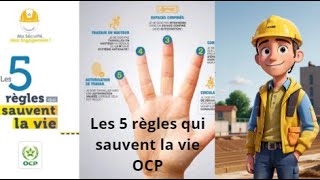 Les 5 règles qui sauvent la vie OCP  formation HSE