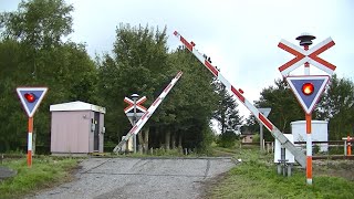 Spoorwegovergang Borris (DK) // Railroad crossing // Jernbaneoverskæring