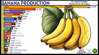 THE LARGEST BANANA PRODUCERS IN THE WORLD