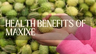 Health benefits of maxixe