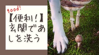 【犬と暮らすVlog】ブラシカップがあれば玄関で足が洗えちゃいます｜便利