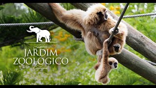 JARDIM ZOOLÓGICO de LISBOA PORTUGAL