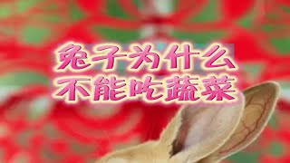 兔子为什么不能吃蔬菜？