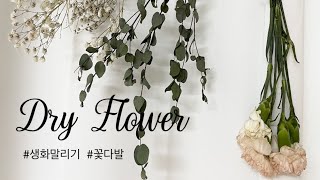 VLOG | 시들어가는 생화 활용, 드라이플라워 간단하게 만드는 법, 힐링되는 순간의 영상🌿🍂