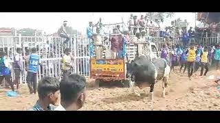 kallakudi jallikattu  2022 ADMK Durai Muthu Kumar Angiyanur