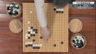 《棋牌乐》20180117TWT围棋锦标赛：芈昱廷VS连笑