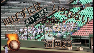 福岡第一の応援！！大宮アルディージャ「叫ばずにはいられない」！！2019秋季高校野球福岡大会決勝！！