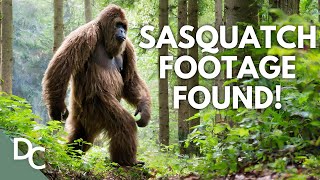 Unveiling Canada's Sasquatch Mystery With New Footage! | Boogeymen | Documentary Central