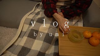 Vlog Life ｜ Cold winter night / one meal / rice cake