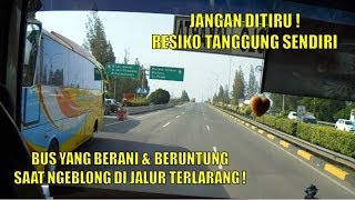 Bus Yang Berani dan Beruntung Saat Ngeblong di Jalur Terlarang !