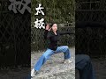 太极拳之美 不在力大无穷 而在持之以恒 太极拳 中华武术博大精深 爱太极 武术