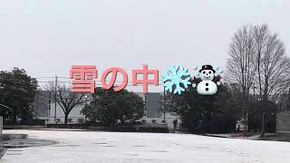 2025年2月2日（日）　鹿沼はこの冬一番の大雪⛄️❄️😆長崎出身のアルパチーノサスケは我慢できずに朝から、はしゃぎ回ってしまう‼️の巻。皆さま、運転には十分にお気をつけ下さいねー🤗