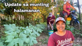 Update sa aming munting halamanan