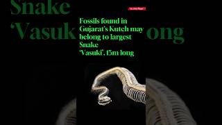 World's largest Snake fossils found in Gujarat's Kutch ||Uttra Tiwari|| #shiva #snake #vasuki #gk