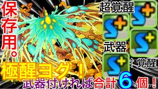 【パズドラ】保存用。極醒ヨグへ進化！