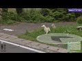 【geoguessr】みんなで場所当てクイズに挑戦！ 2022 01 09