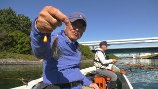 #351 Edo Scenes Reminiscing about the Boat Races ~ Fishing for Beloved Goby with Traditional Japa...