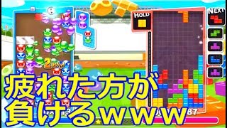 俺のリスナーが意外と強かった・・・。 ぷよvsテト ガチの10先勝負！互いに全く譲らないｗｗｗ【ぷよぷよテトリスS】