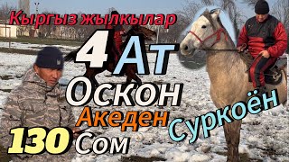 Оскон акеден 4 Ат кыргыз жылкылары чыкты