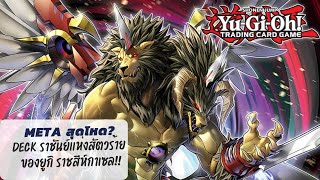 ( เด็คของยูกิที่โหดที่สุด! ) พาไปดูมอนเตอร์ธีมใหม่เเละของเสริมของ มุโต้ ยูกิ/yugioh/ยูกิโอ