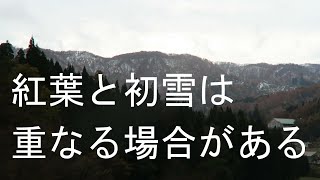 紅葉と雪　2016年11月10日