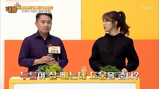 100g당 21kcal, 사포닌 가득한 ‘이것’의 정체는? [내 몸 플러스] 51회 20170326