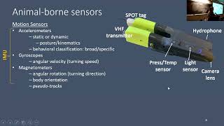 SoMAS - Bridging Scales in Marine Systems: Integrating Physiology, Ecology and Fisheries