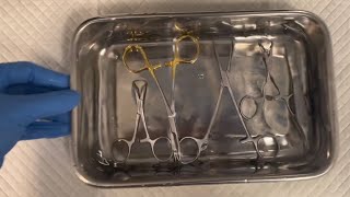 PF Vet Tech 2nd Externship (Skill 3) - Surgical Instrument Preparation