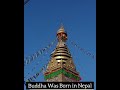 #Swayambhunath Stupa || Buddhist temple in Kathmandu #shorts #tending #travel